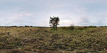 Haldon aerodrome